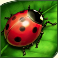 lucky-ladys-charm-deluxe-slot-ladybird-symbol