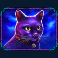 madame-destiny-megaways-slot-cat-symbol
