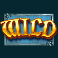 o-reillys-riches-gold-hit-slot-wild-symbol