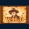 outlaws-hunter-slot-wild-symbol