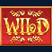 riches-of-rumpelstiltskin-megaways-slot-wild-symbol