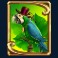 rum-and-raiders-slot-parrot-symbol