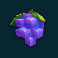 sumo-sumo-slot-grapes-symbol