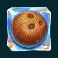 tropicool-slot-coconut-symbol