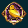 dead-canary-slot-gold-cage-canary-scatter-symbol
