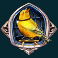 dead-canary-slot-silver-cage-canary-scatter-symbol