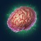 freaky-friday-fixed-symbols-slot-brain-symbol