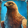 huntress-wild-vengeance-slot-eagle-symbol
