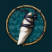 huntress-wild-vengeance-slot-tooth-symbol