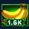 wild-wild-bananas-slot-money-symbol