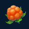 winterberries-2-slot-cloudberry-symbol