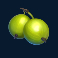 winterberries-2-slot-gooseberry-symbol
