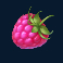 winterberries-2-slot-raspberry-symbol