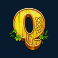 3-lucky-leprechauns-slot-q-symbol