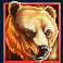 buffalo-mania-megaways-slot-bear-symbol