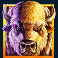 buffalo-mania-megaways-slot-buffalo-symbol