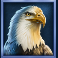 buffalo-mania-megaways-slot-eagle-symbol