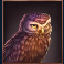 buffalo-mania-megaways-slot-owl-symbol
