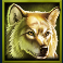 buffalo-mania-megaways-slot-wolf-symbol