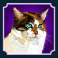 kitty-glitter-slot-calico-cat-symbol