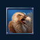 legion-gold-slot-bird-symbol