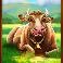 megaways-jack-and-the-magic-beans-slot-cow-symbol
