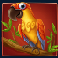 monkey-bonanza-slot-parrot-symbol