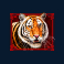 mystery-of-the-orient-slot-tiger-symbol
