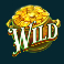 paddys-pot-mega-moolah-slot-standard-wild-symbol