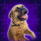 rocky-slot-butkus-symbol
