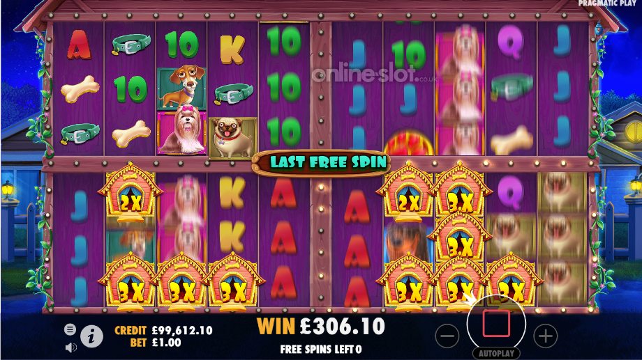 the-dog-house-multihold-slot-free-spins-feature