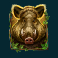 wild-hike-slot-boar-symbol