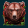 wild-hike-slot-brown-bear-symbol