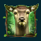 wild-hike-slot-deer-symbol