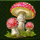 wild-wild-riches-megaways-slot-mushroom-symbol