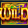 wild-wild-riches-megaways-slot-wild-symbol