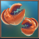 crabbin-crazy-2-slot-claws-symbol