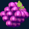 giga-jar-slot-grape-symbol