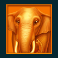 jungle-jamboree-slot-elephant-symbol