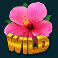 jungle-jamboree-slot-pink-flower-wild-symbol