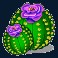 texas-tea-slot-cactus-symbol
