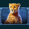 african-elephant-slot-cheetah-symbol