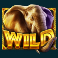 african-elephant-slot-elephant-wild-symbol