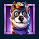busters-bones-slot-purple-dog-symbol
