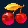 fire-and-roses-joker-slot-cherries-symbol