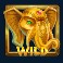 gerards-gambit-slot-wild-symbol