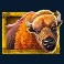 megajackpots-majestic-buffalo-slot-buffalo-symbol