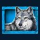 megajackpots-majestic-buffalo-slot-wolf-symbol