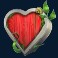 nice-catch-doublemax-slot-heart-symbol