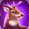 bucks-and-doe-10k-ways-slot-deer-symbol